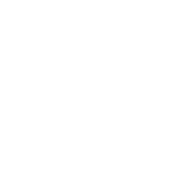 Aurea Store